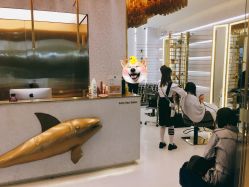 -3AM·S HAIR SALON烫发染发接发