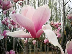 -首都师范大学(良乡校区)