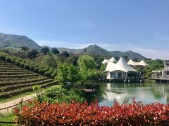 -帐篷客·溪龙茶谷度假酒店