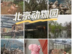 -北京动物园