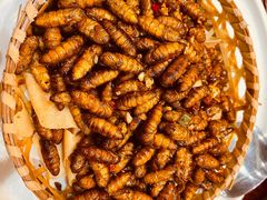 -顺德了能馆(虎门店)