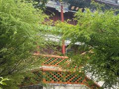 -珠海圆明新园