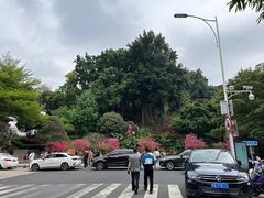 -乌山风景区