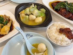 -海金滋(陕西南路店)