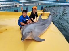 -秦皇岛乐岛海洋王国