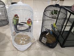 -欧亚汇集(飞跃路店)