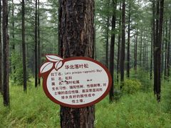 -塞罕坝国家级自然保护区