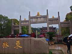 -庐山风景名胜区-东林大佛
