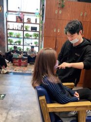 -T.1 hair salon烫染接发