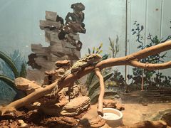 -石家庄市动物园