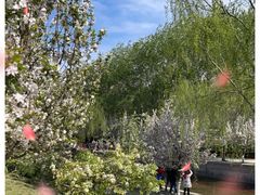 -元大都城垣遗址公园