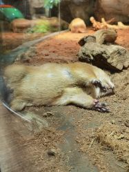 -Zoolung Zoolung动物主题公园(海信广场店)