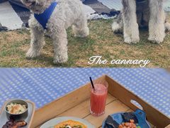 -JUJU韩式烤肉·干杯小酒馆