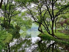 -杭州植物园