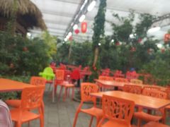 美食丛林-南宫五洲植物乐园