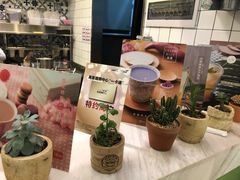 -恋暖初茶(万菱汇店)
