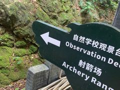 -青青世界