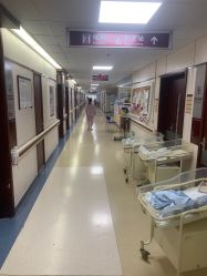 -复旦大学附属妇产科医院(杨浦院区)