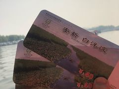 -白洋淀景区