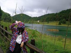 -武陵山森林公园