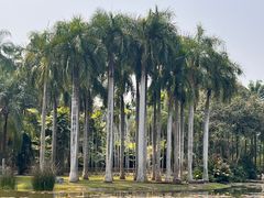-中国科学院西双版纳热带植物园