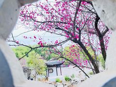 -八大山人梅湖景区