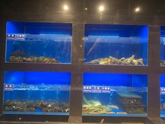 水产区-金时代顺风大酒店(临港百联店)
