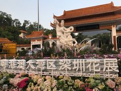 -深圳仙湖植物园