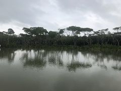 -东寨港红树林旅游区