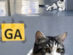 -蓝天射箭馆·专业射箭运动(诚丰广场店)