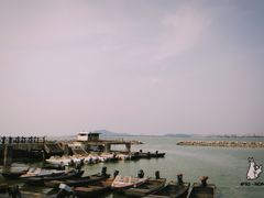 -巢湖姥山岛