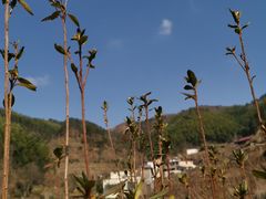 -崀山风景名胜区