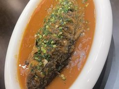 -老雒阳面馆·水席(洛宁高速路口店)