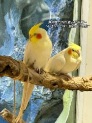 -Zoolung Zoolung动物主题公园(海信广场店)