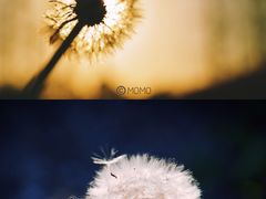 -前小桔亲子创意农场·草莓采摘·露营烧烤