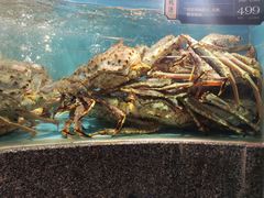 -欧记·龙城港(欣都店)