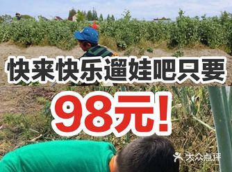来麦粒鸟快乐遛娃吧只要98元