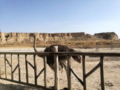 -水洞沟旅游区