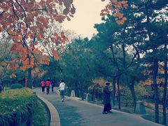 -长辛店二七公园