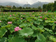 -长安上水缘度假庄园