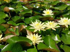 -永定河休闲森林公园