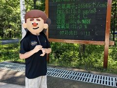 -汤旺河林海奇石景区