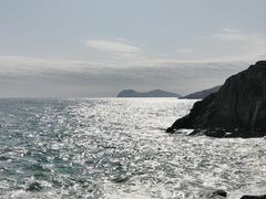 -广东惠东海龟国家级自然保护区