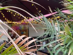 -泰堤坊(淡水体育馆店)