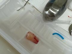 -宁波儿童口腔医院(钱湖院区)