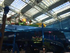 -青岛东方影都融创水世界