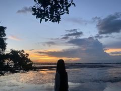 -宝安西湾红树林湿地公园