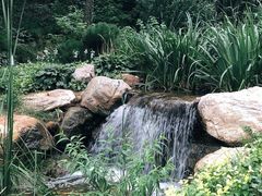 -大连植物园
