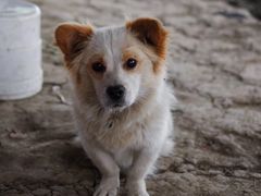 -桤木河湿地公园