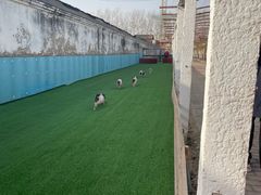-呀路古热带植物园